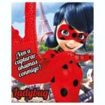 Invitaciones Lady Bug